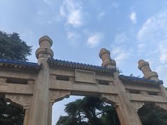 -陶记正宗德州扒鸡(科巷店)