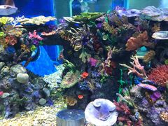 -成都浩海立方海洋公园