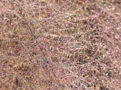 -华山御温泉度假村