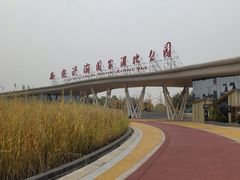 -西安浐灞国家湿地公园