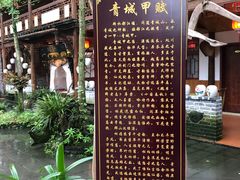 -青城甲(青城山店)