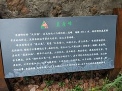 -雨花胜境