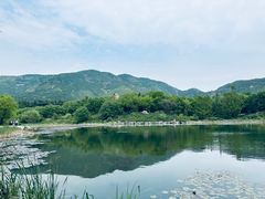 -国家植物园南园