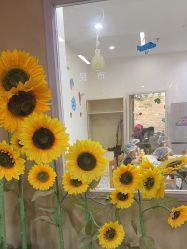-点点梦想城(金水路店)