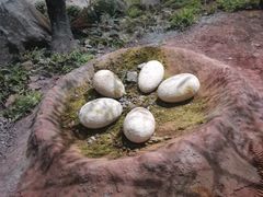 -湖南省地质博物馆