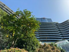 -绿城千岛湖喜来登度假酒店