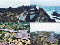 -龙坑生态保护区