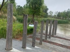 -春花秋色城市公园