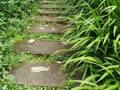 -重庆彩云湖湿地公园
