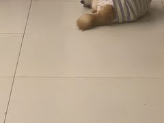 -怪兽屋·羊驼·猫咖·狗咖(俊华广场店)