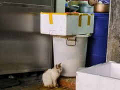 -抖鱼-抖音酸菜鱼(惠福东路店)