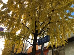 -四川大学(望江校区)