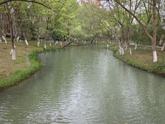 -青枫公园
