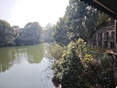 -张鸟园农家乐(张鸟园店)