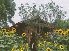 -南山植物园