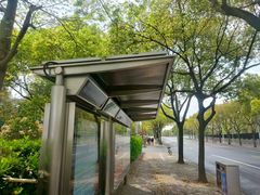 -中国浦东干部学院