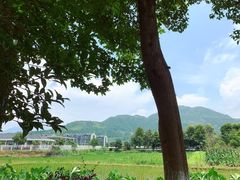 -龙湾潭国家森林公园