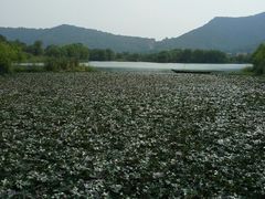 tuying05-长兴太湖图影湿地文化园