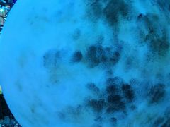 -苏州5D星空错觉艺术馆