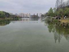 -洋湖国家湿地公园