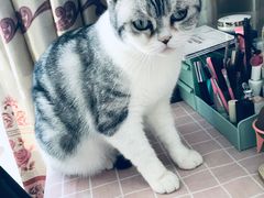 -兰州拉面刀削面(兰山路店)