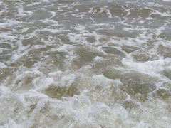 -海滨假日渔家海鲜