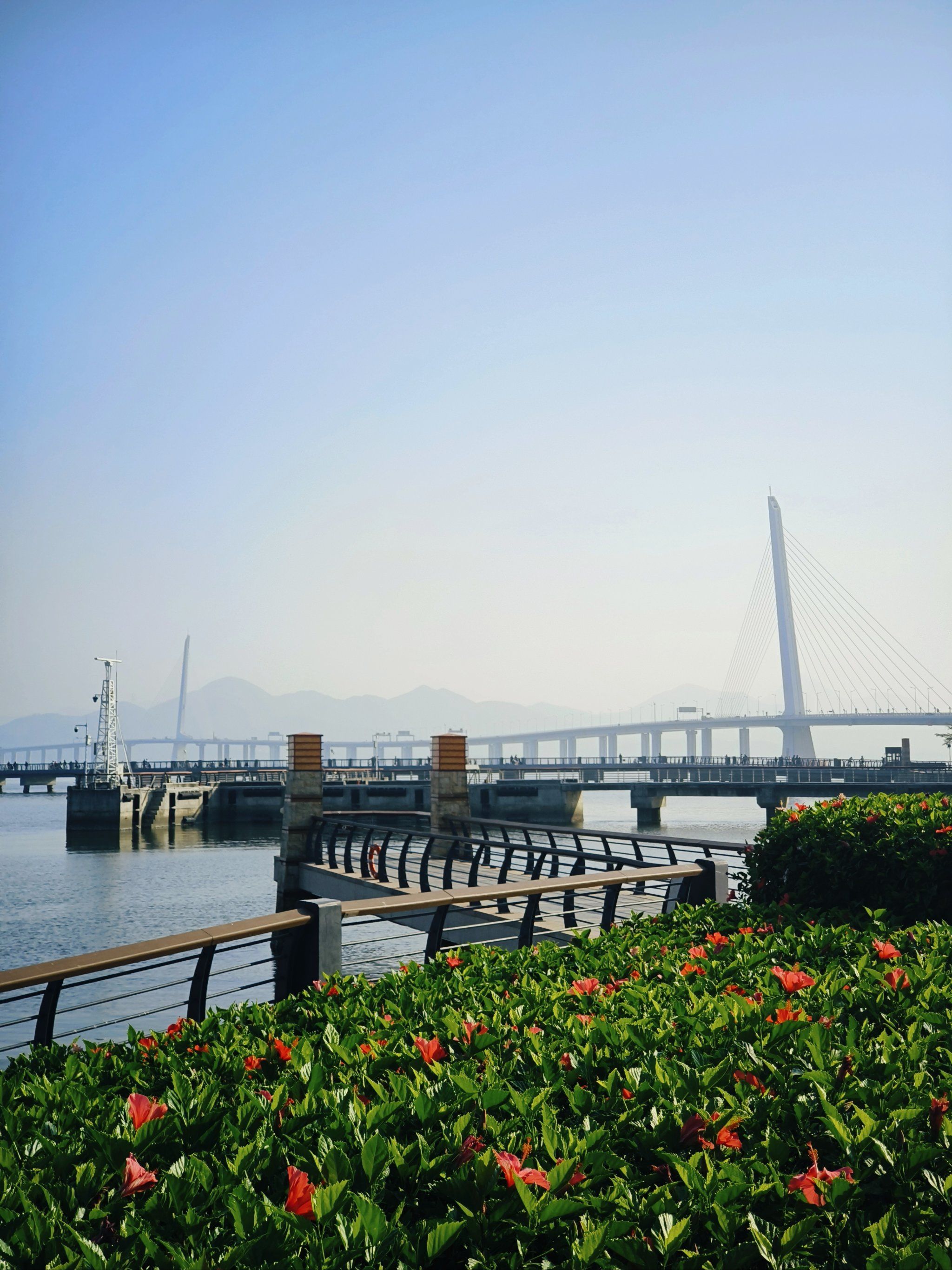 美丽的深圳湾