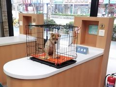 -联合动物医院(光谷诊疗中心)