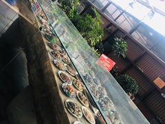 -老磨油饼(高陵店)