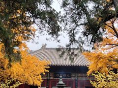 -红螺寺