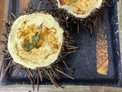 -海胆小馆(东北水饺·春柳店)