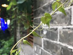 -Dreamsalad梦想轻厨(健康轻食·减脂沙拉·意面·祖庙店)