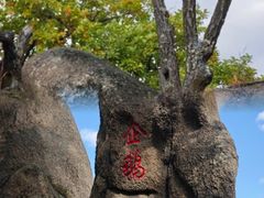 -吉林市朱雀山国家森林公园