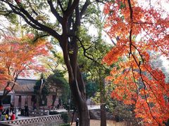 -青岛崂山太清宫
