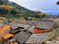 -杨家堂村