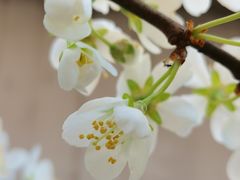 -天津东丽湖风景区
