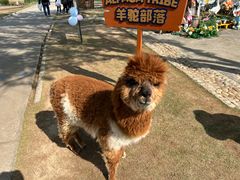 -太阳岛度假酒店