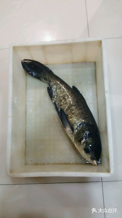 小俩口汉中鱼庄(纬二街店)图片