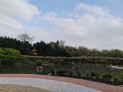 -嘉定紫藤园
