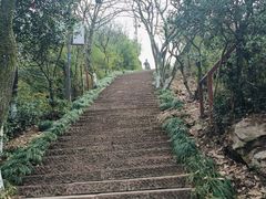 -杭州半山国家森林公园