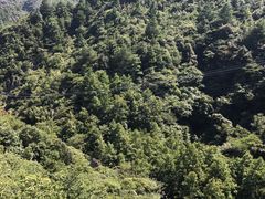 -重庆神龙峡漂流