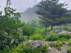 -阳台山自然风景区