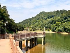 -桃花岭景区