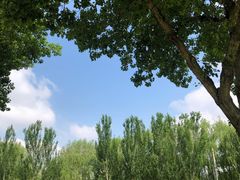 -长白岛森林公园