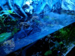 -上海海洋水族馆-停车场