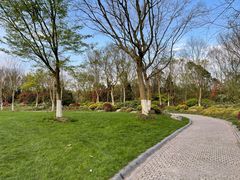 -上海海湾国家森林公园