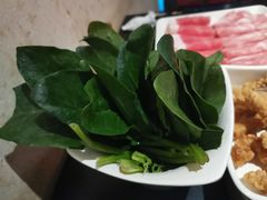 菠菜-井格重庆火锅(西直门凯德Mall店)