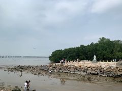 -宝安西湾红树林湿地公园