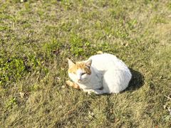 -金桥湾南二小区