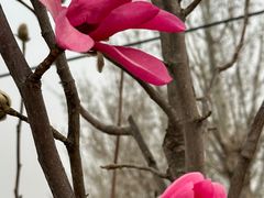 -北京鹫峰国家森林公园